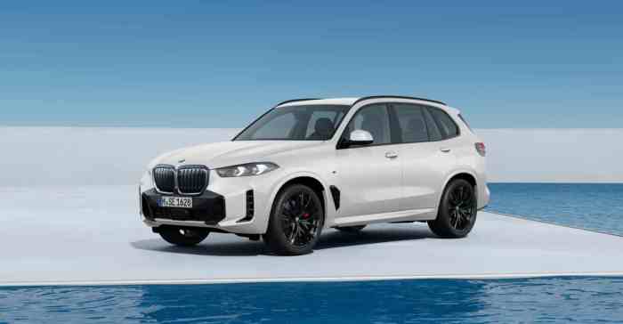 2025 Bmw X5 50e Issues - Zara Maris